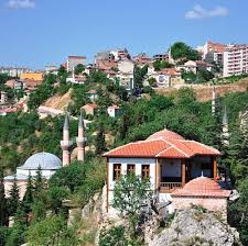 Bozöyük karot hizmeti