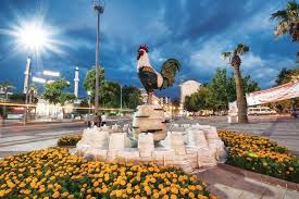 Acıpayam karot hizmeti